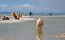 ?去西藏旅游 高原反應頭疼的應對方法