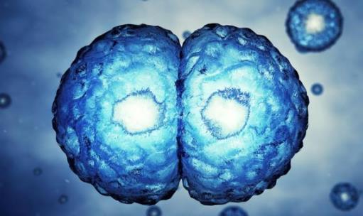 平時不痛不癢，一查癌癥就是晚期？醫(yī)生奉勸：7類人需定期