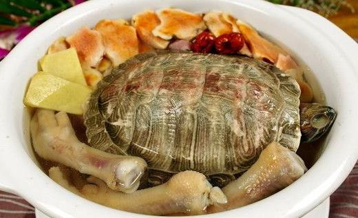 常煲土茯苓草龜湯 可清熱祛濕解毒潤膚