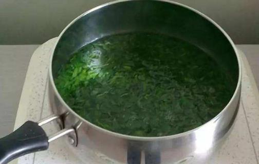艾葉不只用來泡腳艾灸制作美食 養(yǎng)生功效也不容小覷