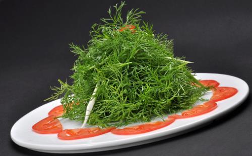 茴香價格便宜，營養并不少，可是營養師提醒，用茴香做餡