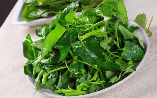 空心菜用油炒過后顏色發黑，這是“有毒物質”嗎？營養師