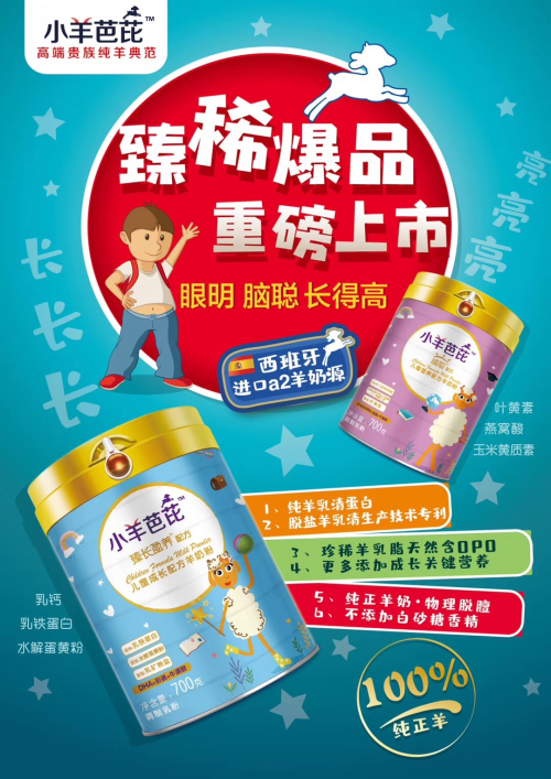 小羊芭芘——西班牙進口“貴族純羊典范，眼明腦聰長的高”