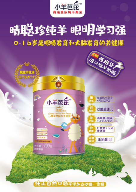 小羊芭芘——西班牙進口“貴族純羊典范，眼明腦聰長的高”