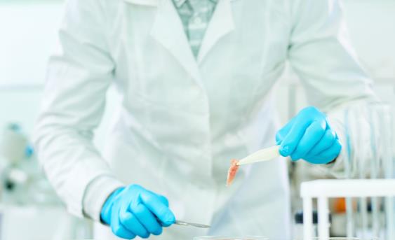 人造培根和牛排將面世 人造肉對(duì)老百姓來(lái)說(shuō)到底是好事壞事