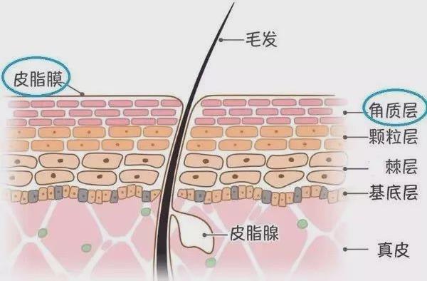 年前肌膚大拯救，萊斯歐肌膚修護三部曲！