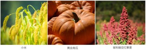 海參配粥吃，您的營養(yǎng)新選擇！