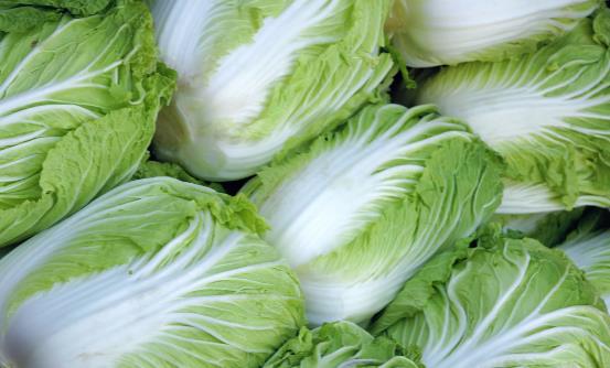 腸胃不好吃些什么好？分享七種常見食物
