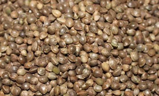血液垃圾帶來(lái)危害 多吃9類(lèi)食物有效清理血液垃圾
