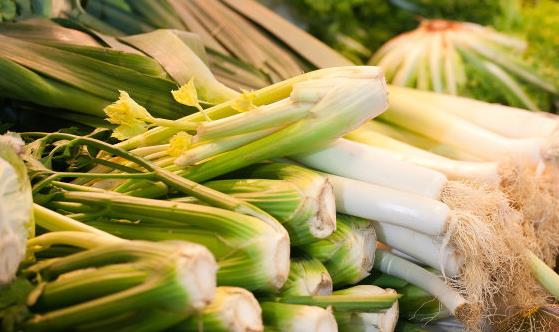 常吃芹菜養(yǎng)血補(bǔ)虛 低血壓脾胃虛弱的人不宜吃