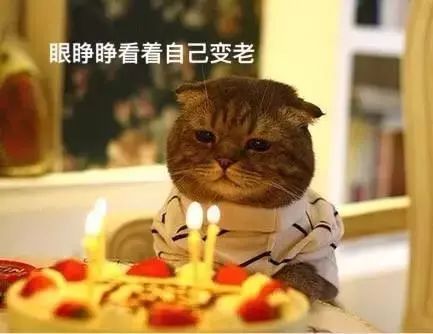不同類型的肉冷凍保存時間不同，吃僵尸肉有危害嗎，如何辨別