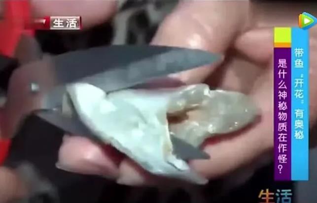 甲醛浸泡過的帶魚一碰熱油就扭曲、炸裂“開花”，千萬別買別吃