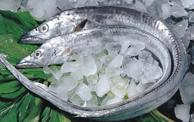 為什么帶魚不能人工養殖？帶魚是深海魚嗎？有什么營養價值