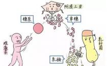 芙美安婦科凝膠丨婦科炎癥反復發作？自從用了它，告別私密困擾！
